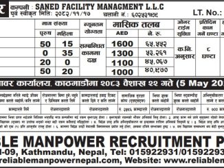 SANED FACILITY MANAGMENT L.L.C